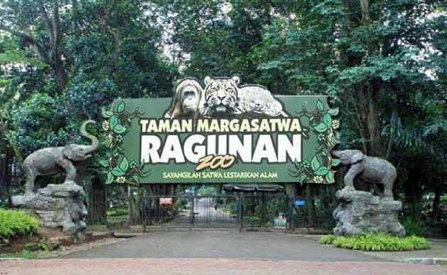 Kebun Binatanf Ragunan
