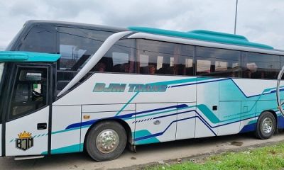 Tiket Bus Lampung Jambi Executive Murah Fasilitas Lengkap Harga mulai Rp. 280.000